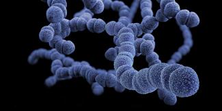 A CG image of bacteria