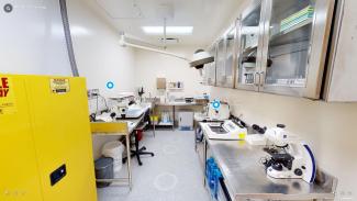 Histology laboratory