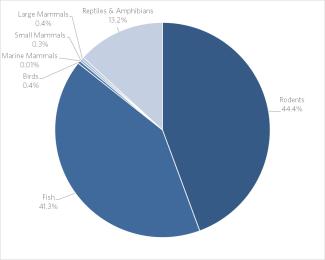 2023 Animals Used in Research  - by type pie chart